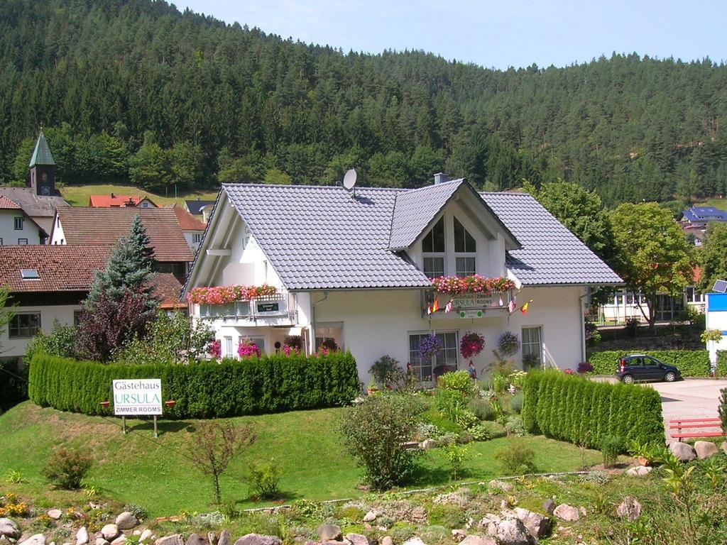 Gaestehaus Ursula Hornberg Εξωτερικό φωτογραφία
